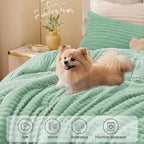 BEDELITE Fleece Queen Comforter Set -Super Soft & Warm Fluffy Light Green Bedding, Luxury Fuzzy Heavy Bed Set for Winter with 2 Pillow Cases