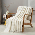 BOURINA White Throw Blanket 50 x70 Inches Jacquard Argyle Throw Textured Solid Soft Throws and Blankets for Sofa or Bed Knitted Decorative Blanket