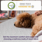 NapQueen Full Mattress, 14 Inch Elizabeth Cooling Gel Memory Foam Mattress, Full Bed Mattress in a Box, CertiPUR-US Certified, Medium Firm, Breathable Soft Fabric Cover