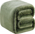 Richave 350GSM Fleece Blankets King Size for The Bed Warm Sofa Blanket 90" x 108"(Green King)