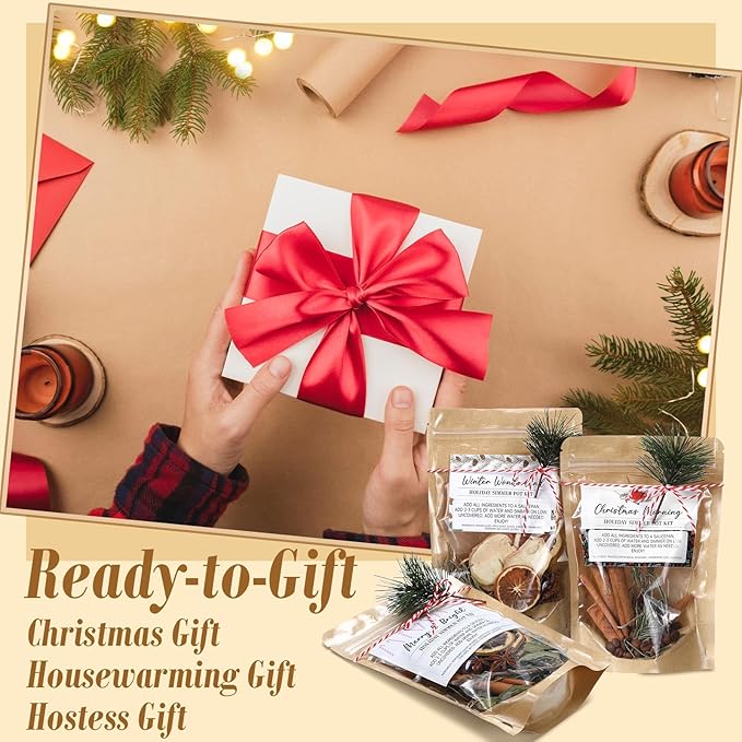 3 Pack Christmas Potpourri Simmer Pot Kit, Holiday Stovetop Potpourri, Botanical Air Freshener Sachets, Festive Bowl Filler Decor for Home Fragrance, Housewarming & Hostess Gifts