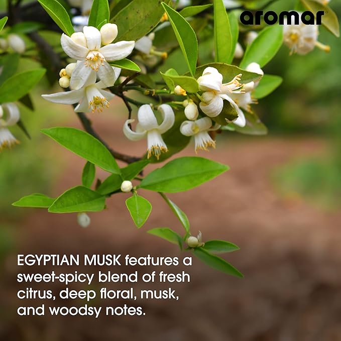 AROMAR Premium Fragrance Oil - Essential Oil for Diffusers & Home Aromatherapy - Egyptian Musk - 8oz