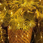 AWQ 360 LED 13.1ft x 6.6ft Warm White String Lights, 8 Modes, Timer Function, UL Certified, IP44 Rated, Outdoor Indoor Use