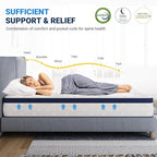 Avenco Queen Mattress in a Box, 12 Inch Hybrid Size Mattresses with Comfort Foam and Pocket Coils, Colchones Queen for Pressure Relief & Motion Isolation