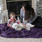 Bedsure GentleSoft Fleece Throw XL Blanket Purple - 300GSM Soft Lightweight Plush Cozy Blankets for Bed, Sofa, Couch, Travel, Camping, 50x70 inches