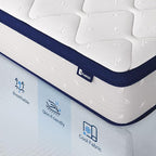 Avenco 14 Inch Queen Mattresses in a Box, Hybrid Queen Size Mattresses with Comfort Foam and Pocket Coils for Pressure Relief & Motion Isolation