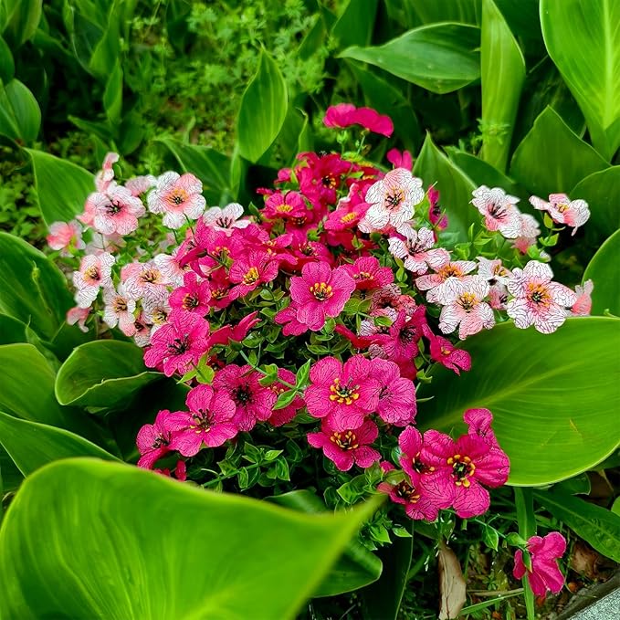 28 Bundles Silk Daisy Fake Plants Faux Flowers UV Resistant Fake Bushes Plastic Artificial Flowers Faux Outdoor Indoor Plants for Spring Summer Decoration (7 Colors)