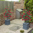 3.6FT Artificial Camellia Fake Tree, Artificial Plants & Flowers with 32 Red Flowers for Door Front Decoration Porch Patio Living Room Office Indoor Outdoor Decor (2PCS Contains Dried Moss)