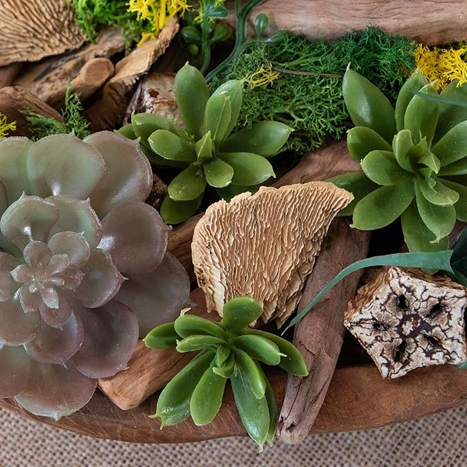 ANDALUCA 20 oz Succulent, Moss & Crystal Fragrance Potpourri with Scents of Sandalwood, Moss, Eucalyptus & Teakwood Includes Fragrance Vial (Mossy Woods)