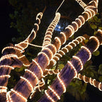 50ft/15m Plug in LED Rope Lights, 540 Warm White LEDs, 110V, Waterproof, Connectable,Power Socket Connector Fuse Holder, Indoor/Outdoor Use, Ideal for Backyards, Decorative Lighting