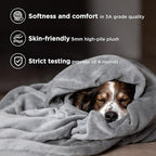 Bedsure GentleSoft Fleece Bed Blankets Queen Size Grey - Soft Lightweight Fuzzy Cozy Luxury Fall Blanket Microfiber, Room Home Decor Christmas Decorations Gifts for Women and Men, 90x90 inches