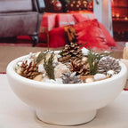 ANDALUCA Frosted Pine Winter Pinecone Fragrance Potpourri (Winter White)