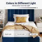 Allewie Twin Bed Frame/Velvet Upholstered Bed Frame with Vertical Channel Tufted Headboard/Strong Wooden Slats/Platform Bed Frame/Mattress Foundation/Box Spring Optional/Easy Assembly/Navy Blue