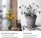Artificial Camellia Tree 2 Pack, Artificial Plants Outdoor Faux Floral Plant in Cement Pot Fake Silk Camellia Tree Plants for Home House Living Room Office Decor