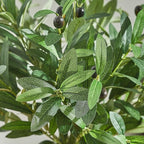 5 PCS 18 Inch Olive Tree Branches Greenery Stems Artificial Plants Faux Olive Branch for Vase Realistic Green Stem Home Decor Indoor