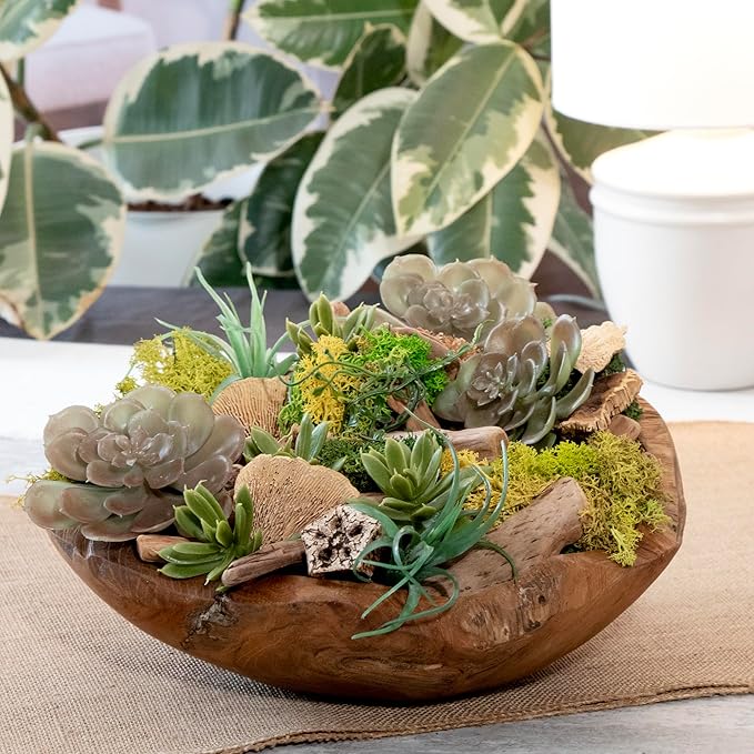 ANDALUCA 20 oz Succulent, Moss & Crystal Fragrance Potpourri with Scents of Sandalwood, Moss, Eucalyptus & Teakwood Includes Fragrance Vial (Mossy Woods)