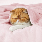Bedsure GentleSoft Fleece Blanket Twin Size Pink - 300GSM Lightweight Plush Fuzzy Cozy Soft Blanket for Bed, Sofa, Couch, Travel, Camping, 60x80 inches
