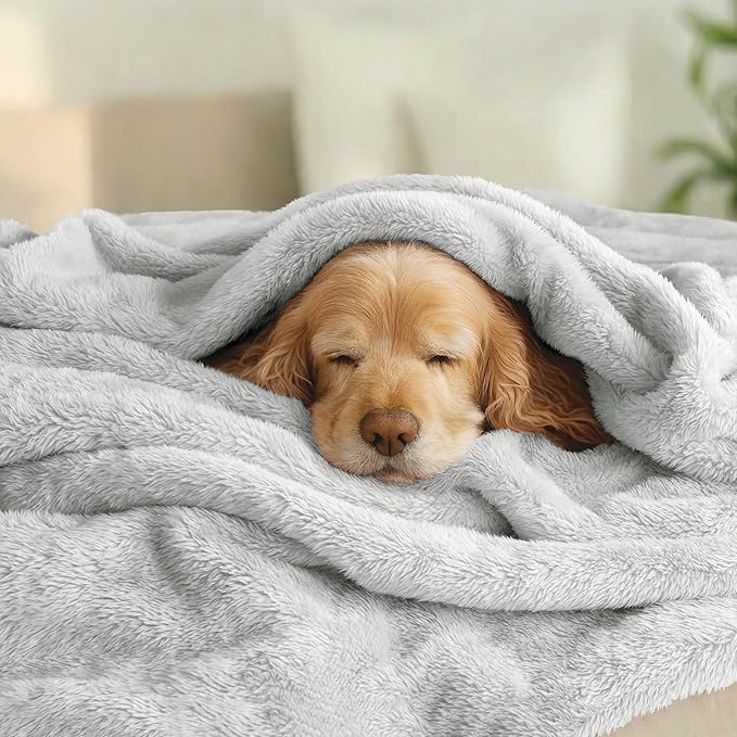 Exclusivo Mezcla Plush Fuzzy Fleece Bed Blanket King Size, Super Soft, Fluffy and Warm Blankets, Suitable for All Seasons (Light Grey, 90x104 Inches)