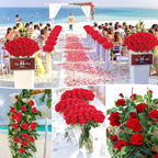 60 Pcs Artificial Roses Bulk Velvet Silk Roses Red Rose Flowers for Wedding Centerpieces Bridal Bouquet Mohter's Day Valentine's Day Christmas Home Decor (60, Red)