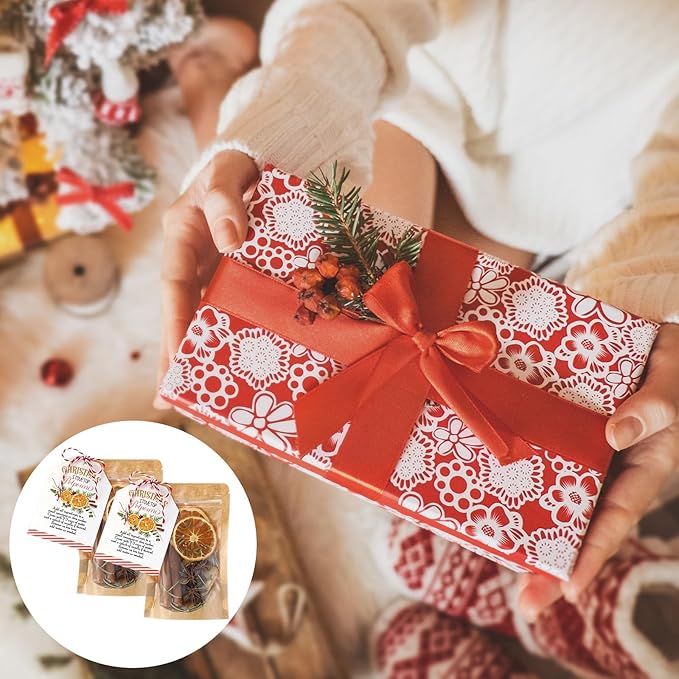 6 Pack Christmas Potpourri Simmer Pot Kit Christmas Stovetop Potpourri with Apple, Orange, Cinnamon and Illicium Verum Air Freshener Sachet for Xmas Home Fragrance Housewarming Hostess Gifts