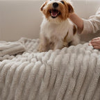 Bedsure GentleSoft Blankets Queen Size for Bed - Cozy Soft Blankets for Women, Cute Large Fleece Throws for Girls, Linen, 90x90 Inches