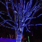 Dazzle Bright Outdoor Christmas String Lights, 1000 LED 328 FT Plug in Fairy Light with Remote Control 8 Modes & Timer, Waterproof Decoration for Home Garden Yard Xmas Wedding, Blue