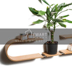 EWART WOODS Floating Wall Mounted Oval Shelf from Wood, Decorative Geometric Wooden Shelves for Candles, Unique Oak Hanging Display Decor (Cherry)