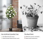Artificial Camellia Tree 2 Pack, Artificial Plants Outdoor Faux Floral Plant in Cement Pot Fake Silk Camellia Tree Plants for Home House Living Room Office Decor