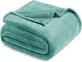 Exclusivo Mezcla Fleece Blanket Queen Size for Bed, Super Soft and Warm, All Season Use, Cozy, Plush, Lightweight, 90x90 Inches, Celadon