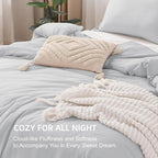Litanika Comforters Light Grey Oversized King Size, 3 Pieces Lightweight Solid Bedding Comforter Set, All Season Fluffy Bed Set (120x98In Comforter & 2 Pillowcases)