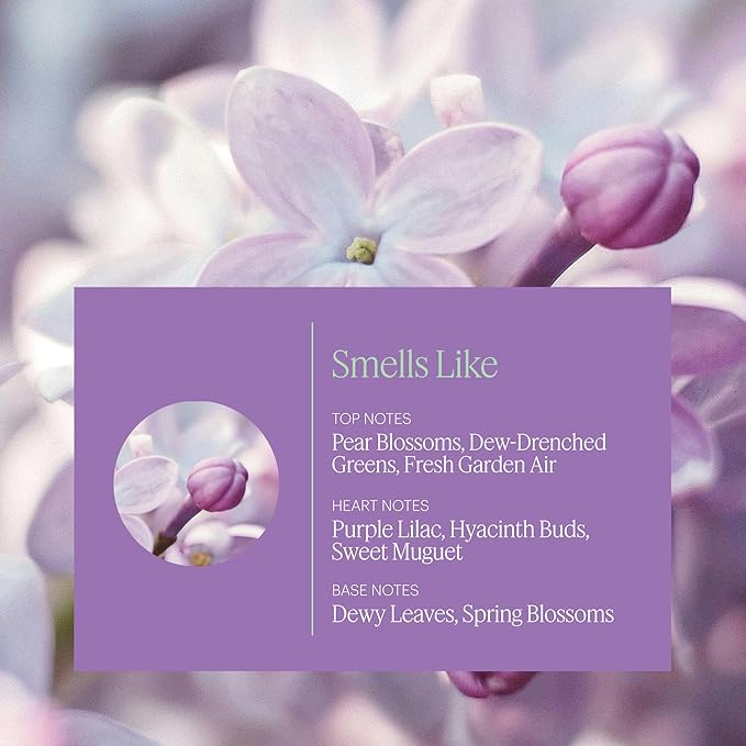 Aera Mini Lilac Daydream - Essential Oil for Home - Lilac Bush Fragrance - Notes of Dewy Leaves and Spring Blossoms - Scent Refill - Capsule Size Works with Mini Diffuser