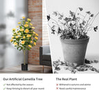 Artificial Camellia Tree 2 Pack, Artificial Plants Outdoor Faux Floral Plant in Cement Pot Fake Silk Camellia Tree Plants for Home House Living Room Office Decor
