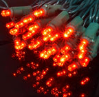 Holiday Essence Essence LED Mini Christmas Lights Set, 60 5mm Red String Lights, Green Wire, for Indoor Outdoor Décor, Valentines, Home, Wedding, Patio, Garden Decorations, UL Certified