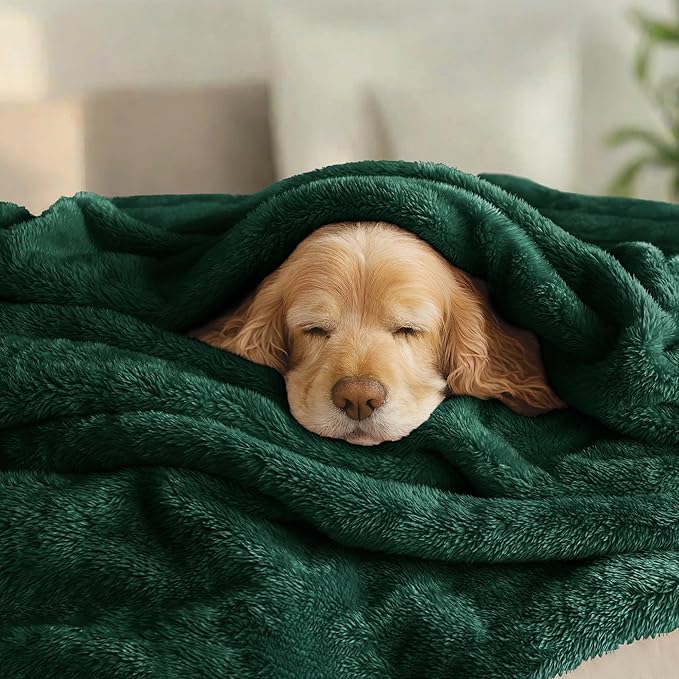 Exclusivo Mezcla Plush Fuzzy Fleece Bed Blanket Twin Size, Super Soft, Fluffy and Warm Blankets, Suitable for All Seasons (Forest Green, 90x66 Inches)
