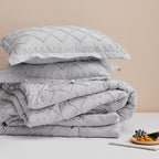 Bedsure Queen Comforter Set - Light Grey Comforter, Boho Tufted Shabby Chic Bedding for Kids, 3 Pieces Vintage Farmhouse Bed Set for All Seasons, Fluffy Soft Bedding with 2 Pillow Shams