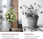 Artificial Camellia Tree 2 Pack, Artificial Plants Outdoor Faux Floral Plant in Cement Pot Fake Silk Camellia Tree Plants for Home House Living Room Office Decor
