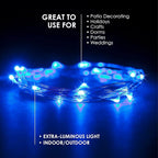 30 LEDs Blue Color String Lights Silver Wire Indoor and Outdoor 9.5 Feet Firefly Starry Fairy Lights Battery Powered for DIY, Christmas, Holidays, Party, Bedroom and Centerpieces