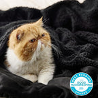 Bedsure GentleSoft Sherpa Fleece Blankets Queen Size for Bed - Thick and Warm Throw for Women and Men, Soft Fuzzy Plush Queen Blanket for Winter, Black, 90x90 Inches