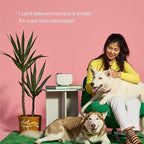 Aera True Loves Wildrose Rains - Deodorizing Home Fragrance Scent Refill for Pet Odor - Notes of Green Leaves, Rose Petal & Water Lily - 12.5mL - For Use With Aera Diffuser (Sold Separately)