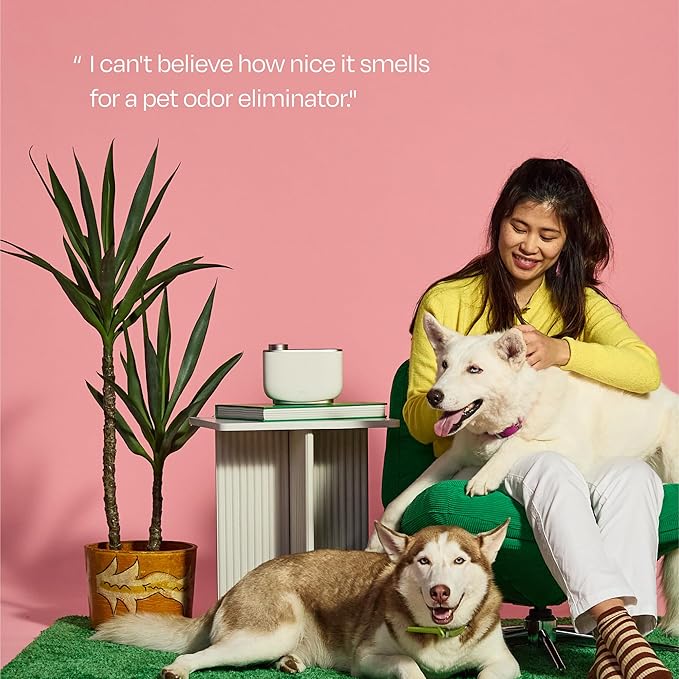 Aera True Loves Wildrose Rains - Deodorizing Home Fragrance Scent Refill for Pet Odor - Notes of Green Leaves, Rose Petal & Water Lily - 12.5mL - For Use With Aera Diffuser (Sold Separately)
