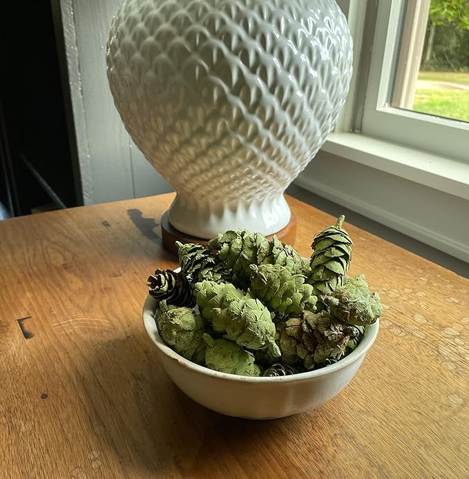Hillhouse Naturals Balsam Fir & Cedar 8oz Potpourri Green Pine Cones. Fresh Green Notes, snowkissed Balsam fir and Crisp Cedar Waft a Breath of Winter air into Your Home. Made in The USA.