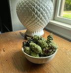 Hillhouse Naturals Cedar & Pine 8oz Potpourri Green Pine Cones. Our Potpourri Combines The Fresh Scent of Pine with a Subtle hint of Cedar and Citrus Peel. Made in The USA.
