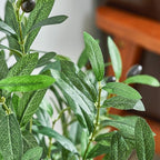 4 PCS 39 Inch Faux Olive Branches Artificial Flowers Greenery Stems Olive Tree Branch for Vase Filler Home Decor Indoor