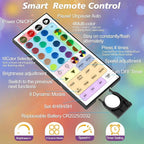 24 Colors Changing Fairy String Lights USB Powered with Remote Control, 33ft 100 RGB LED Bright Silver Wire Firefly Lights for Christmas Tree Wedding Party Indoor Garden Patio Holiday Outdoor Décor
