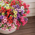 36 Bundles Artificial Flowers for Outdoor Indoor Garden Home Decoration, Look Real for Front Door Porch Patio Yard Balcony, Faux Flower Daisy with Eucalyptus Leaves Fake Plants, 6 Colors