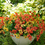 Artificial Flowers for Outdoor, UV Resistant Fake Silk Flowers, Realistic Faux Plants for Outside Indoor Porch Patio Window Box Planter Home Decor (16, Orange Yellow)