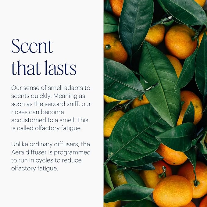 Aera Mini Home Fragrance Diffuser and Mini True Loves Citrus Grove Refill Bundle - Aromatherapy for Rooms 100-500 Sq Ft - Alexa Compatible, Hypoallergenic, Family and Pet Safe, App Controlled