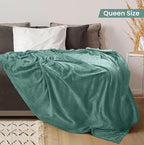Utopia Bedding Fleece Blanket Queen Size Celadon 300GSM Luxury Fuzzy Soft Anti-Static Microfiber Bed Blanket (90x90 Inch)