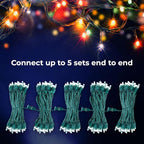 Holiday Essence 60 LED Mini Christmas Lights Cool White Green Wire String Lighting Indoor Outdoor Xmas Tree Garden Holiday Party Decor UL Certified Indoor & Outdoor String Lights
