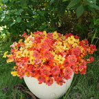 Artificial Flowers for Outdoor, UV Resistant Fake Silk Flowers, Realistic Faux Plants for Outside Indoor Porch Patio Window Box Planter Home Decor (16, Fall OrangeRed Yellow)